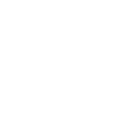 Logo Efeito site 2